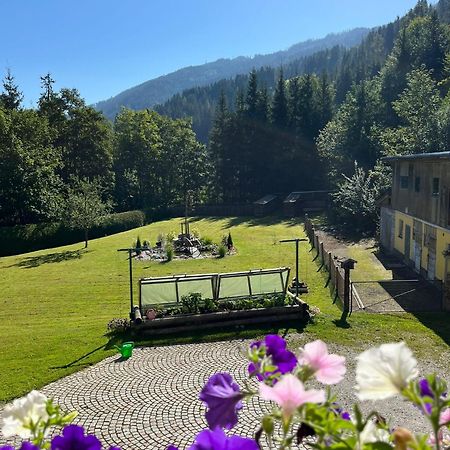 Haus Rosina Διαμέρισμα Mühlbach am Hochkönig Εξωτερικό φωτογραφία